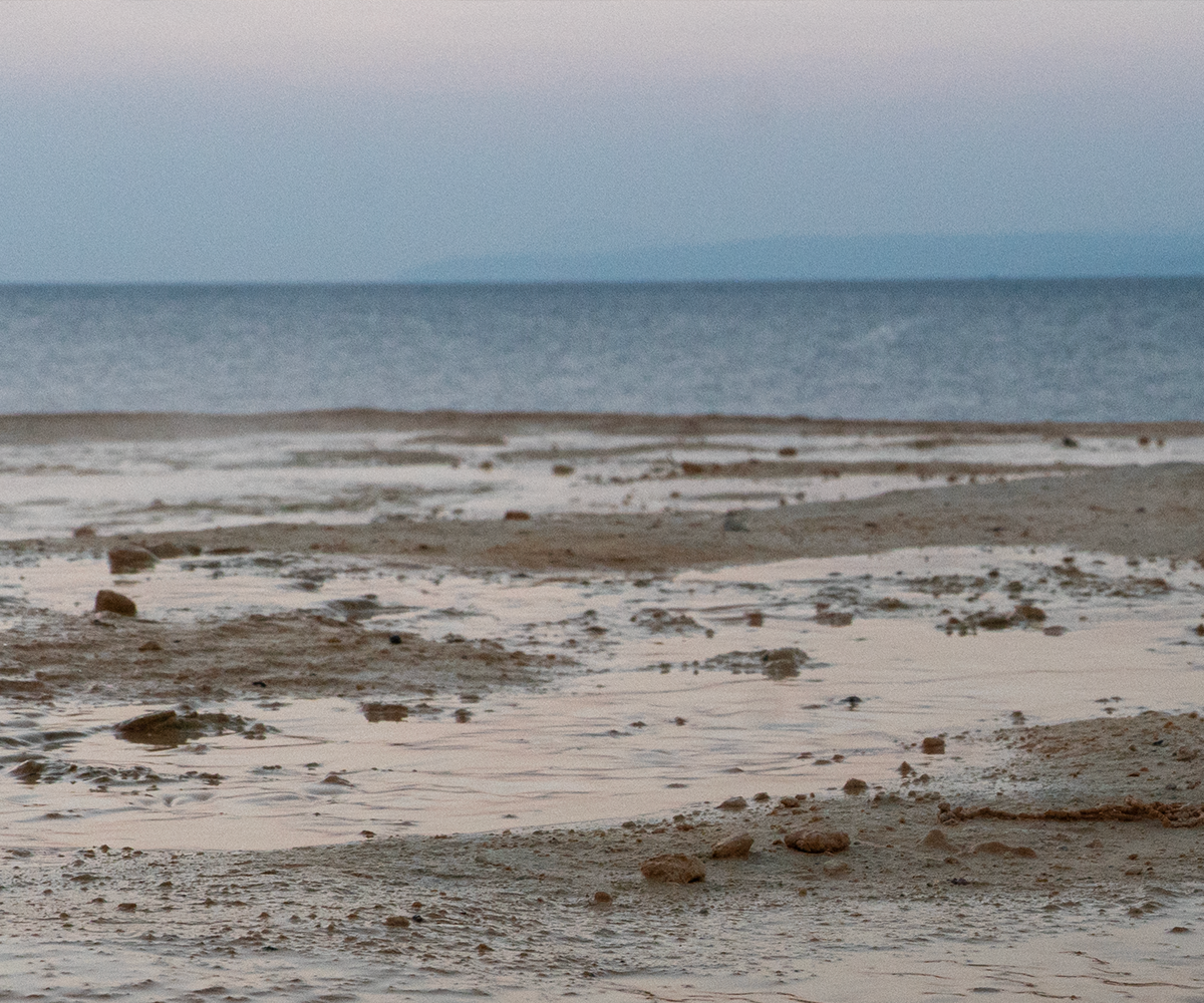 Schichten und Linien: Grenzen neu denken 